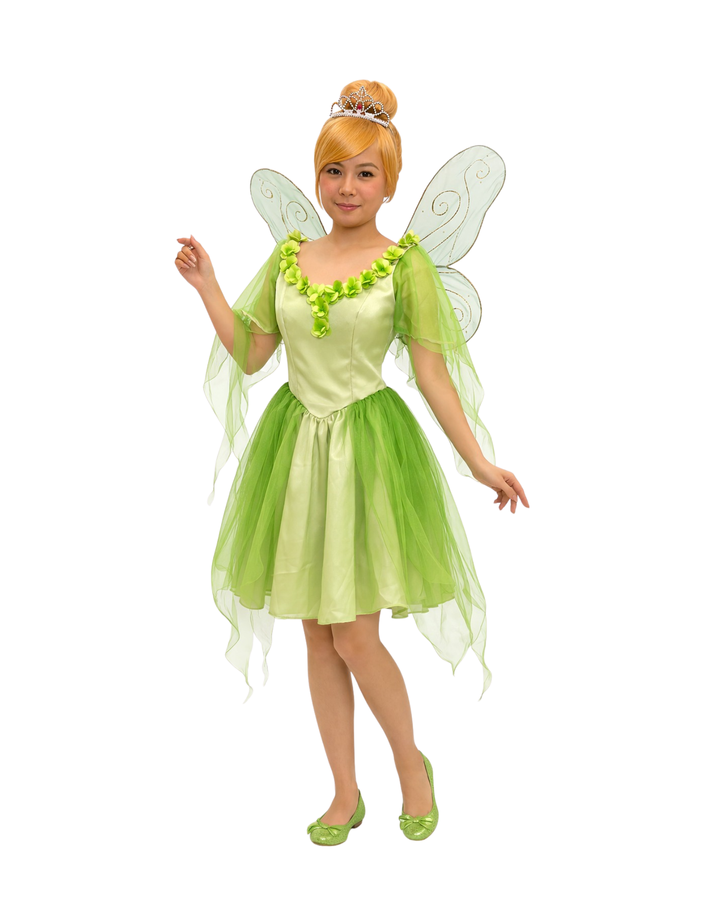 Fairy D12