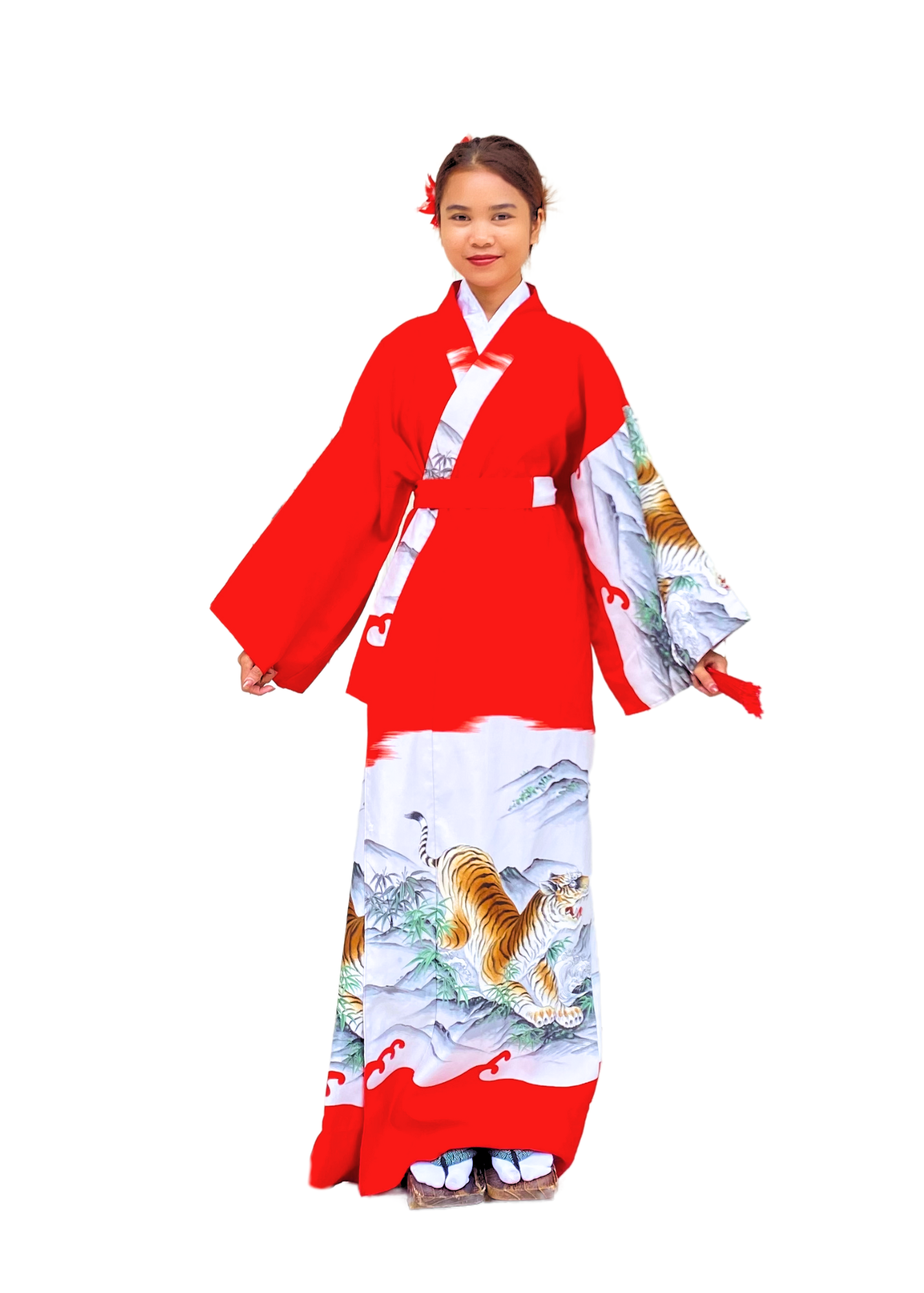 Japanese Kimono N13
