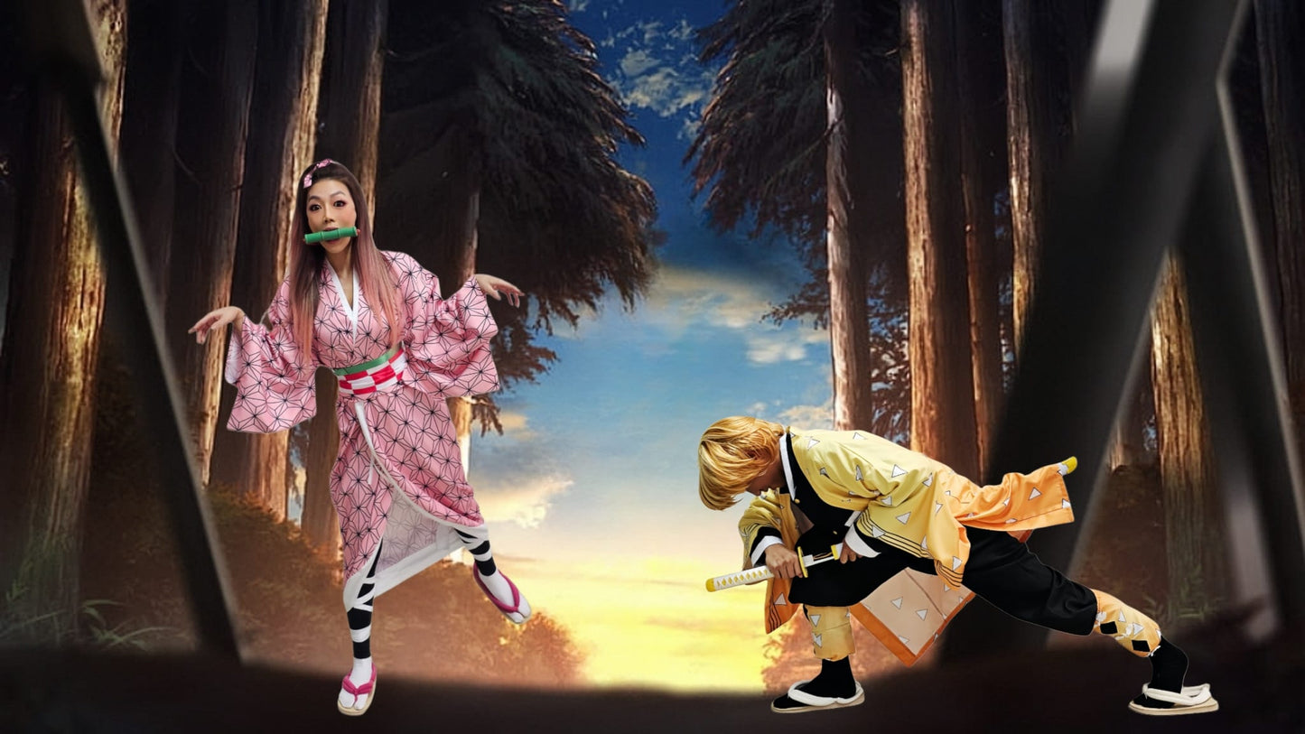 Anime DS18