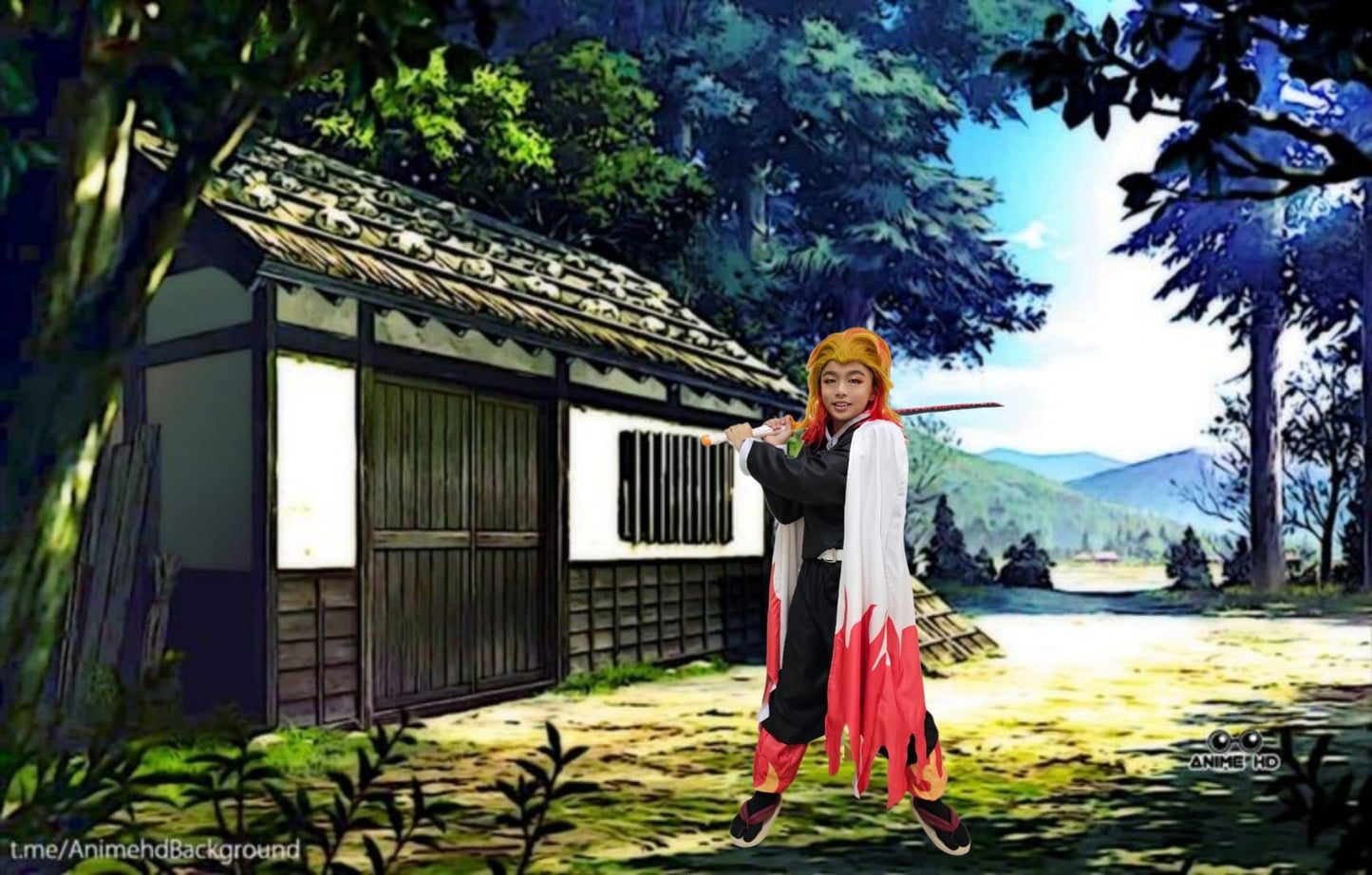 Anime DS12