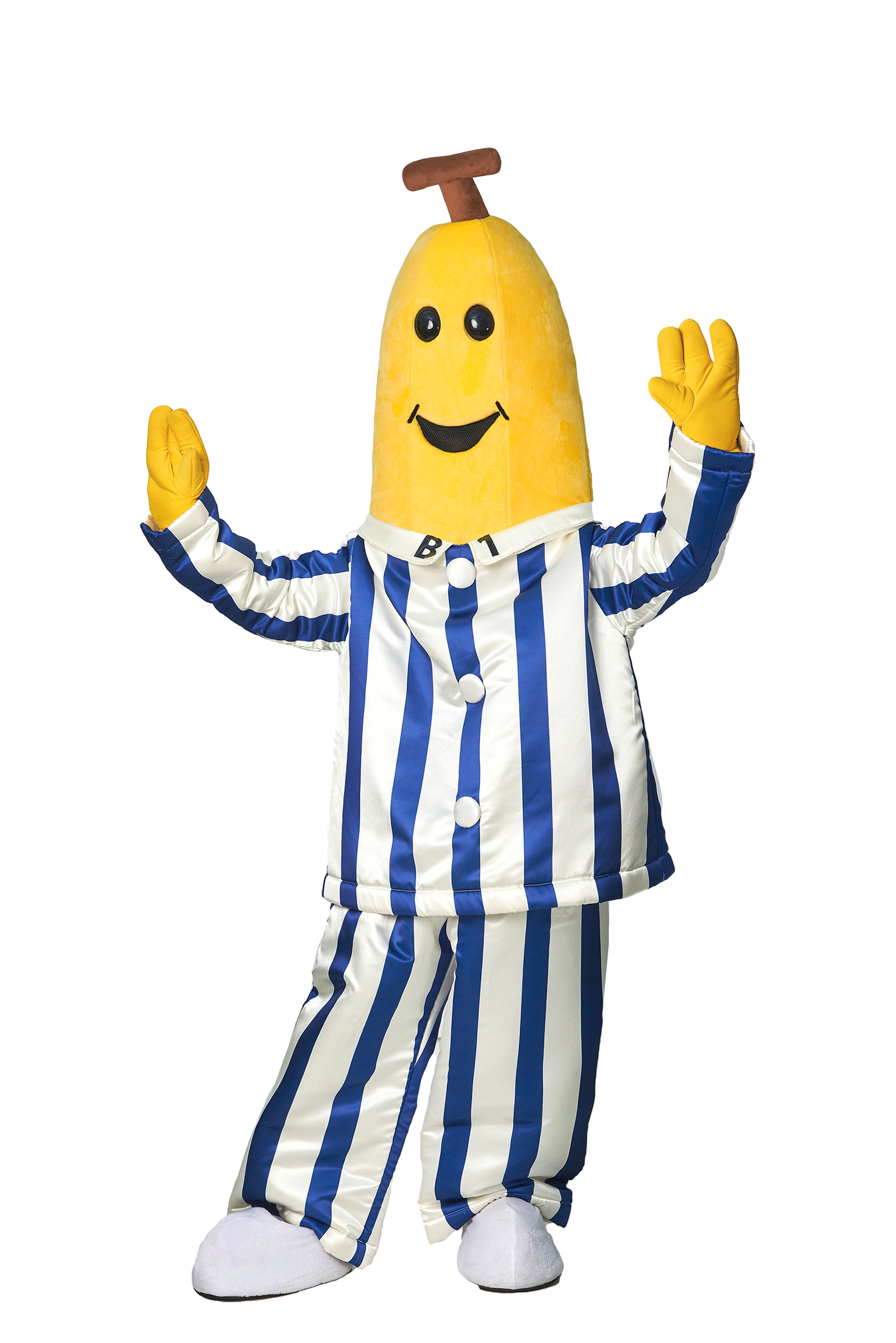 B1 D01