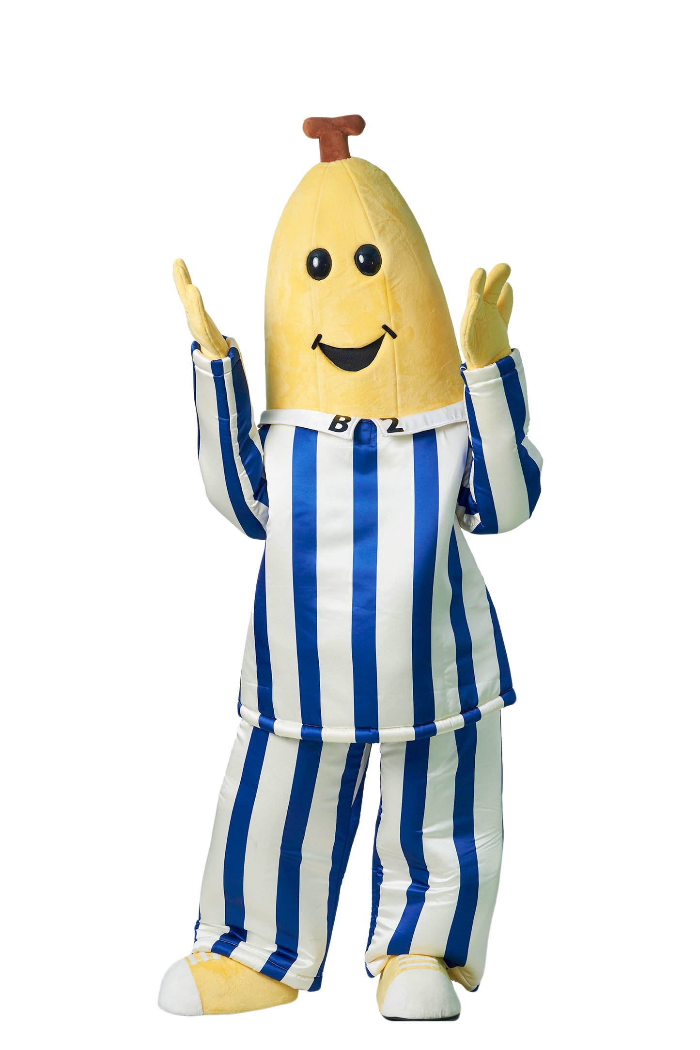 B2 D01