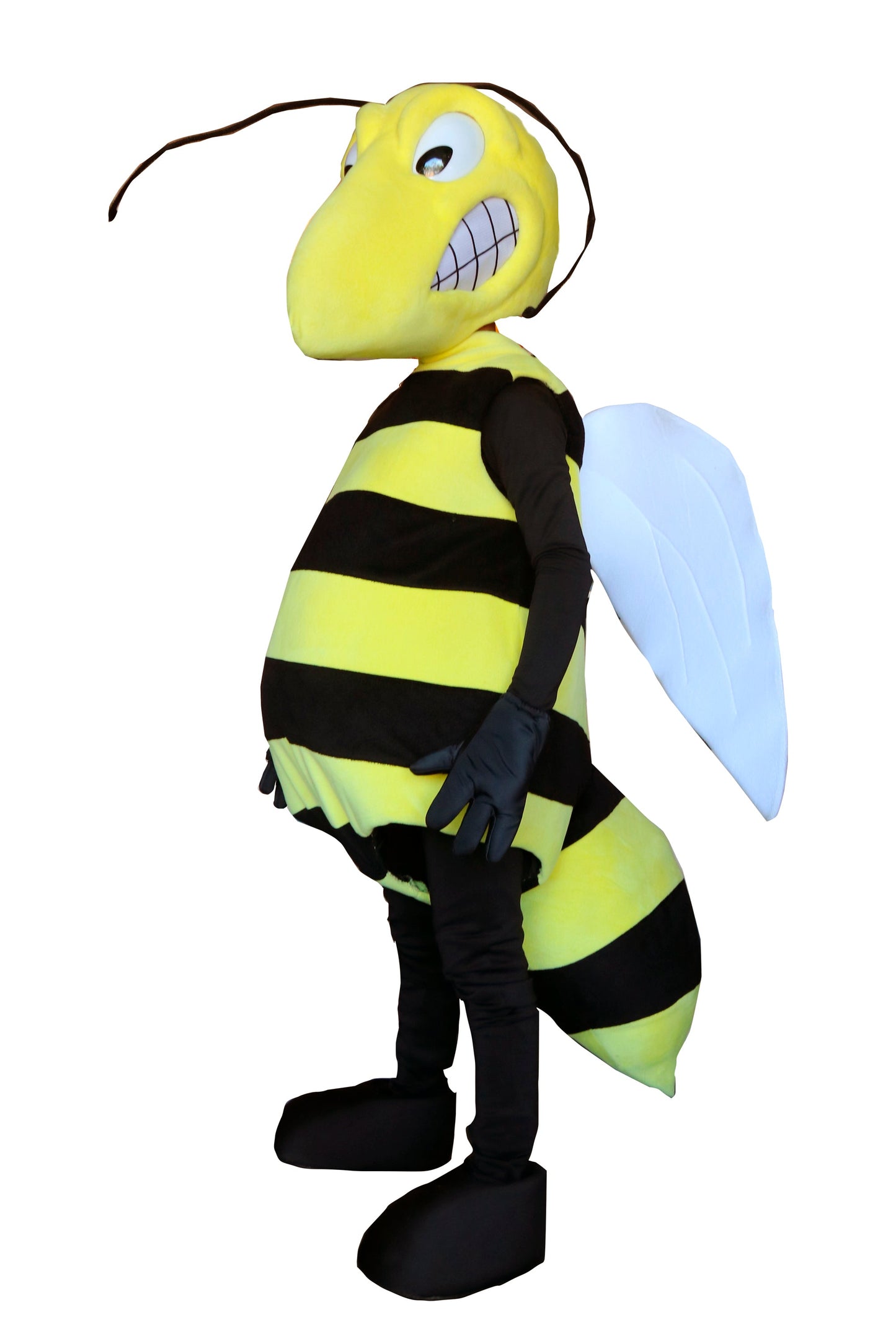 Bee P01