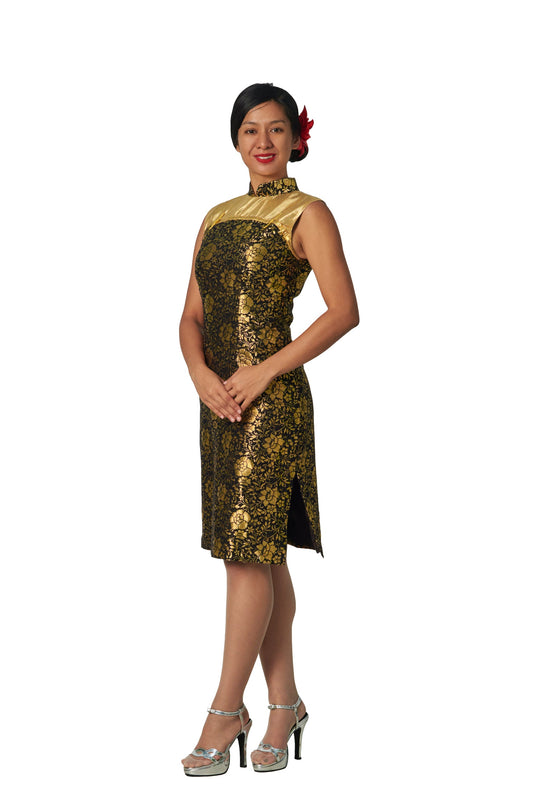 Chinese Female Qipao N11