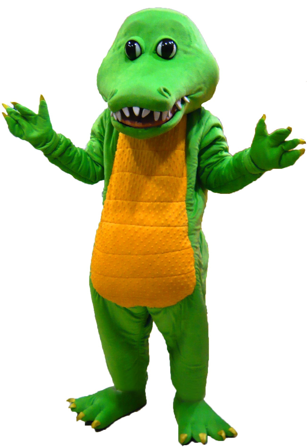 Crocodile D01