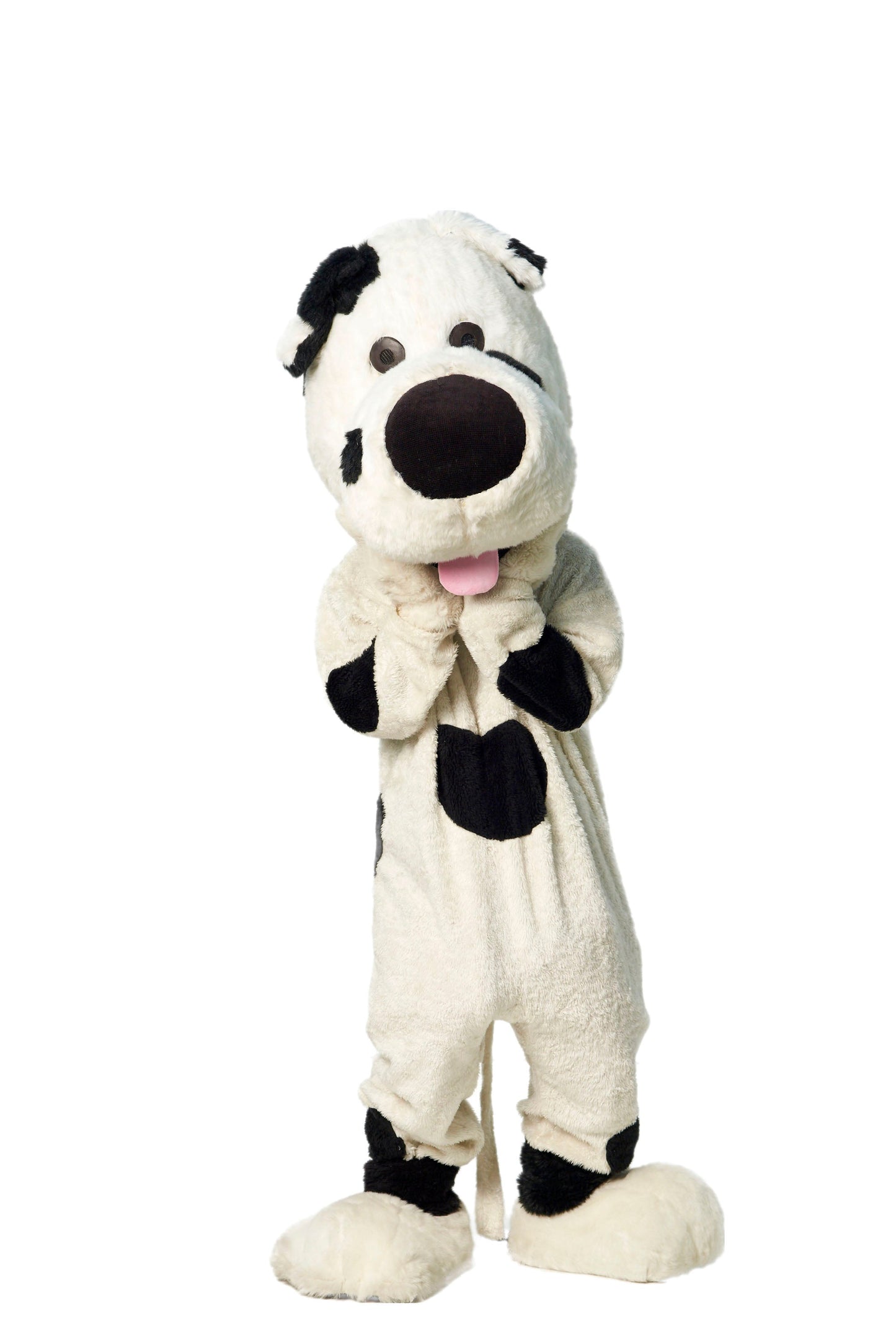 Dog D01