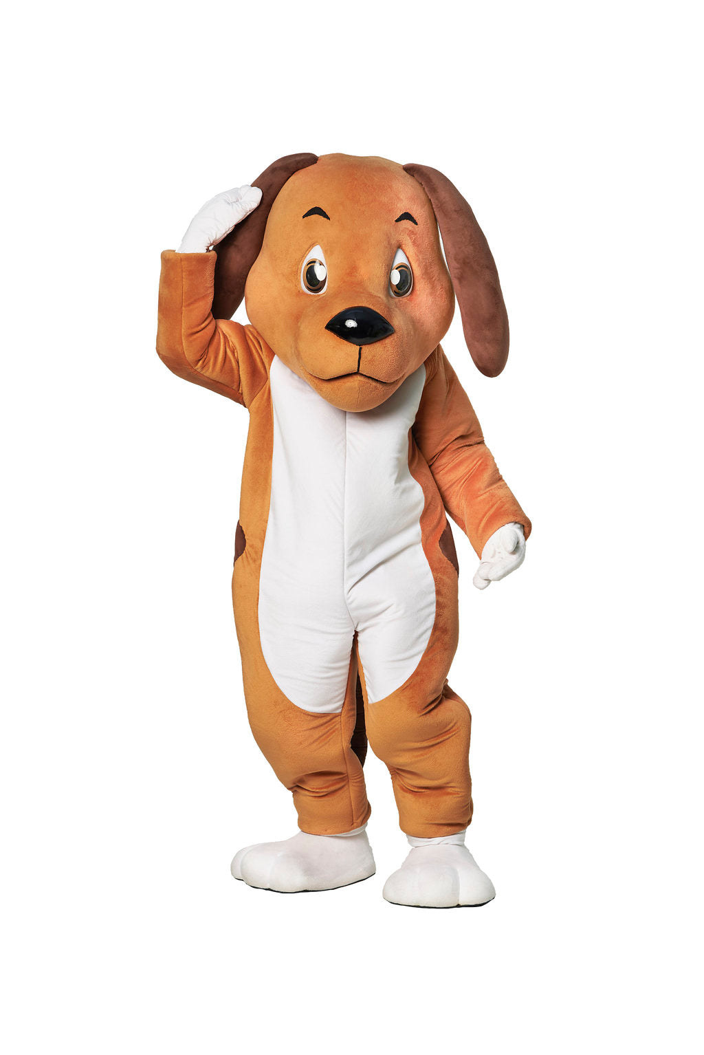 Dog D02