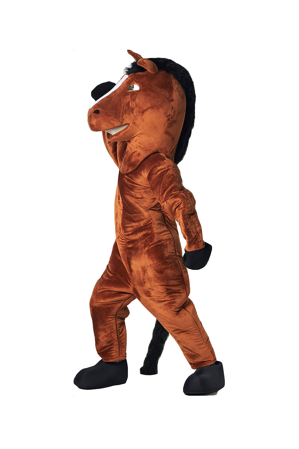 Horse D01