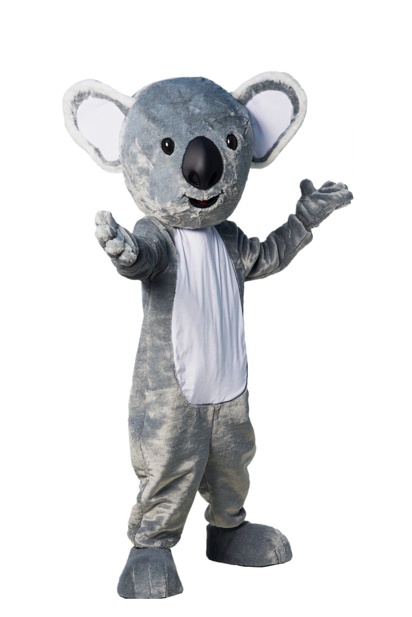 Koala Bear D01