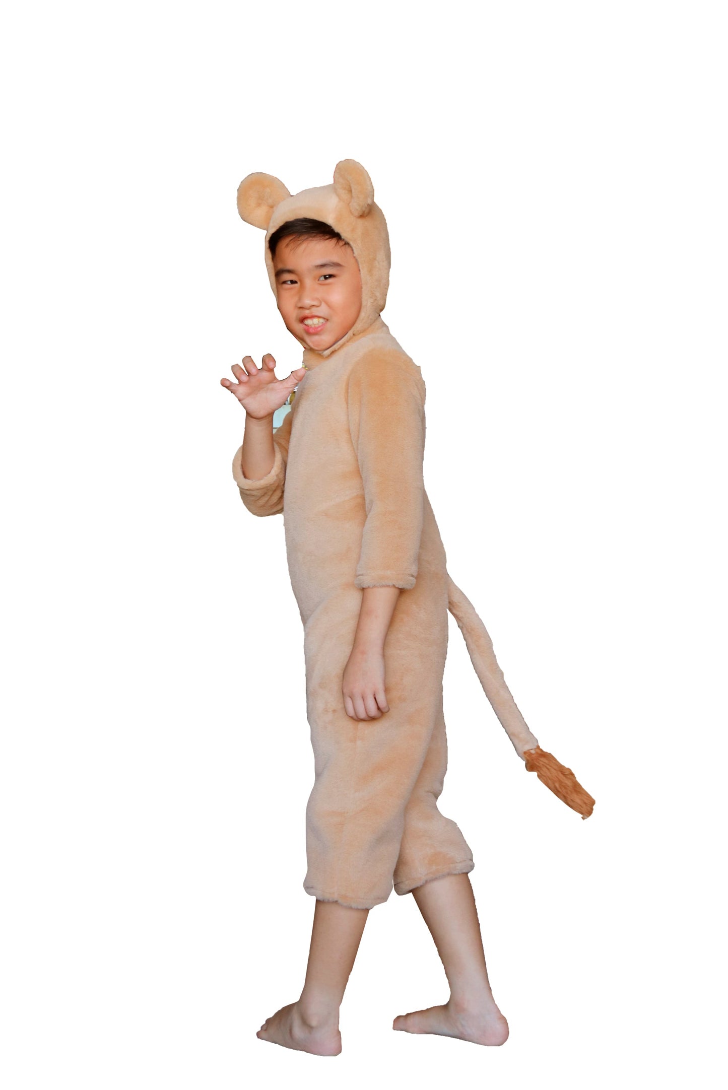 Tikus K01