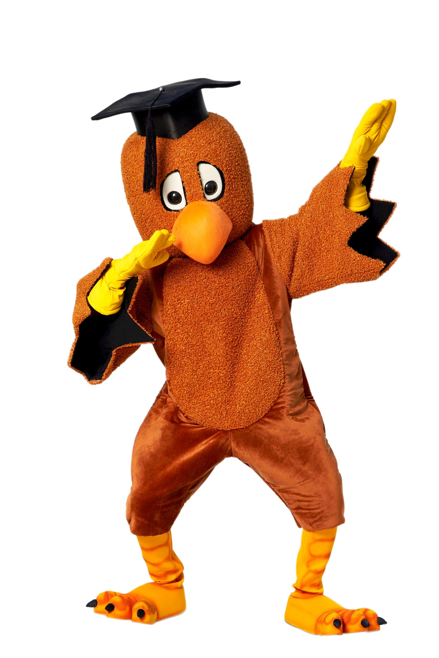 Burung Hantu D01