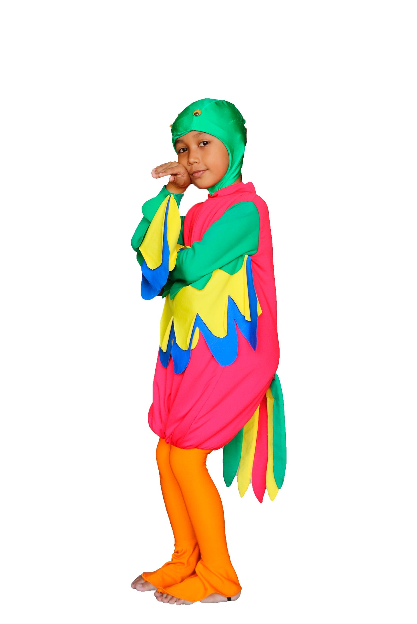 Burung Beo K02