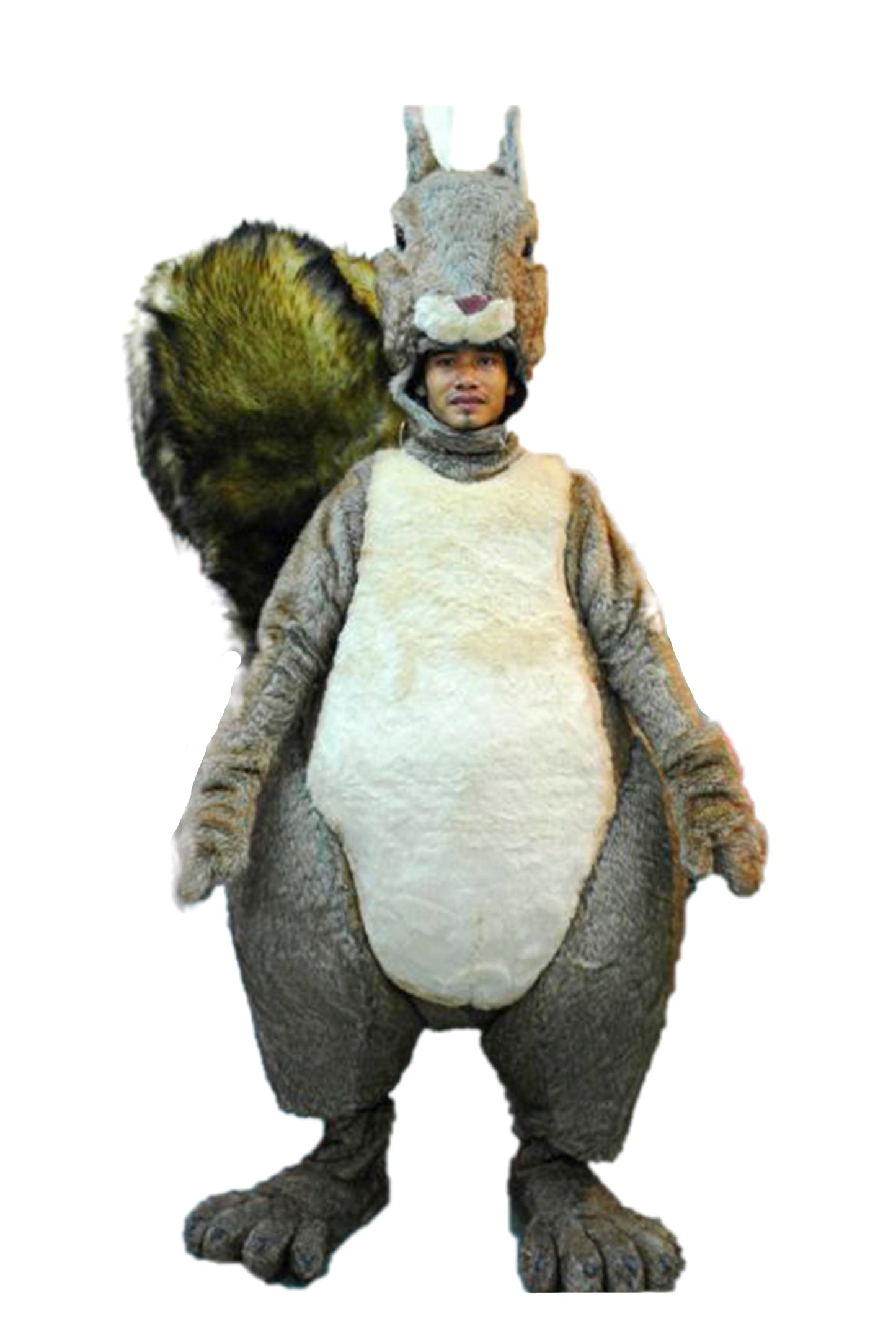 Squirrel D01