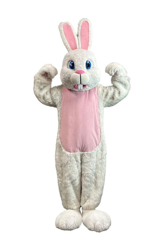 Bunny Mascot (Rabbit) D03