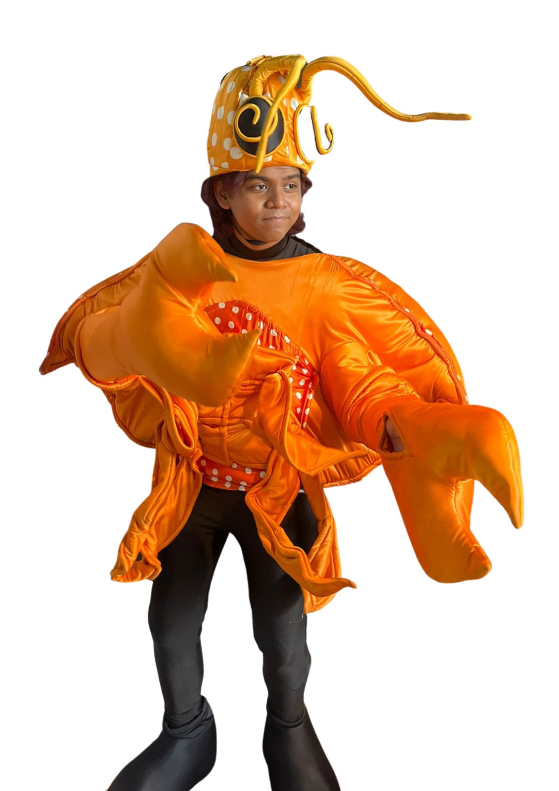 Crab D01