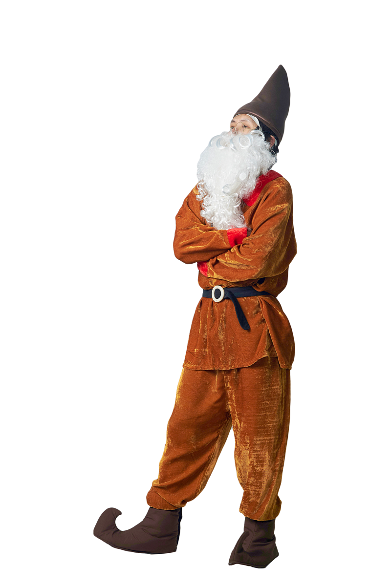 Dwarf SW01