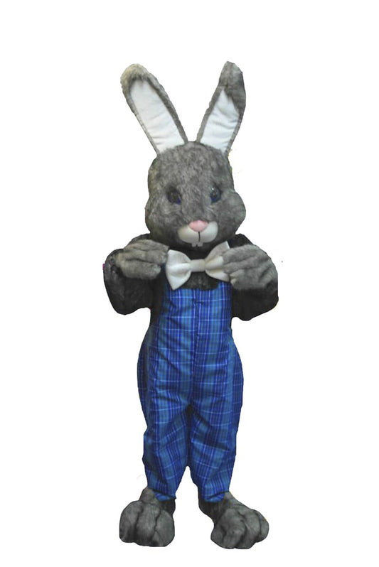 Bunny Mascot (Rabbit) D05