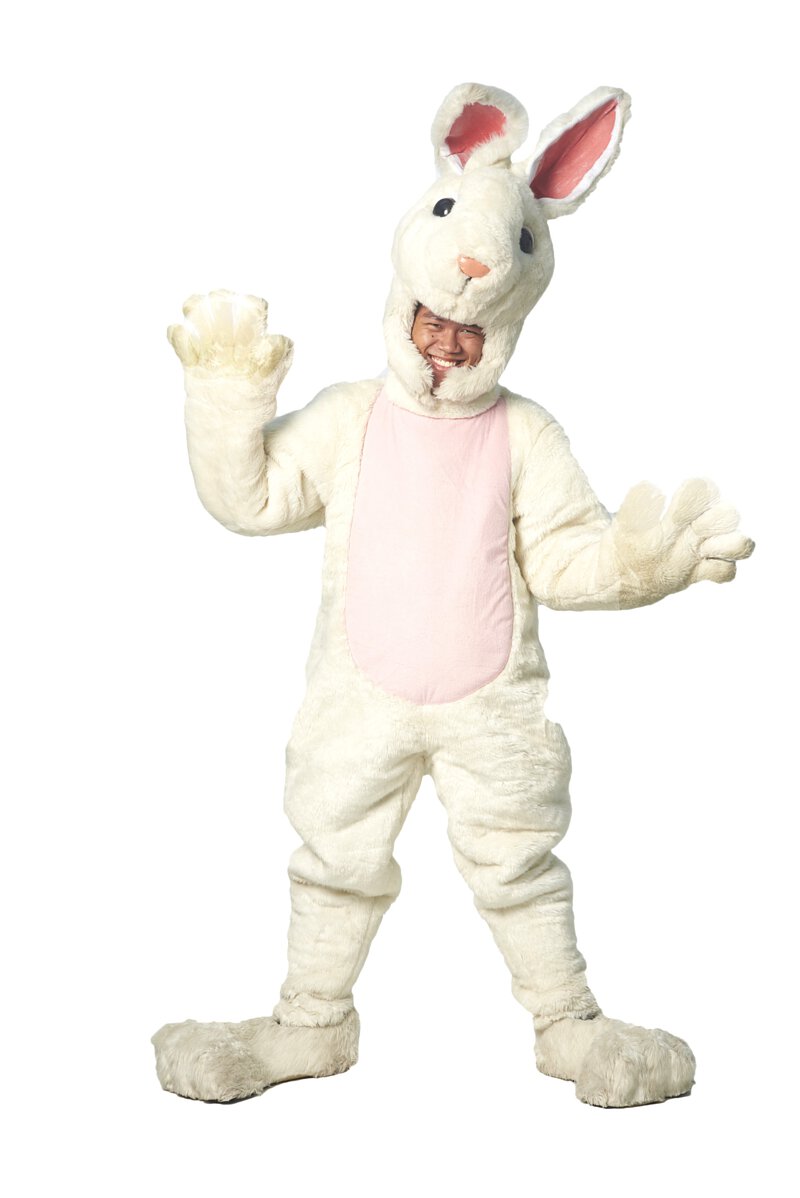 Maskot Kelinci D08