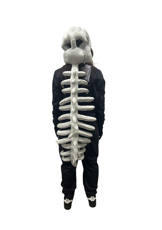 Dino Skeleton HL03 (Head Plushie)