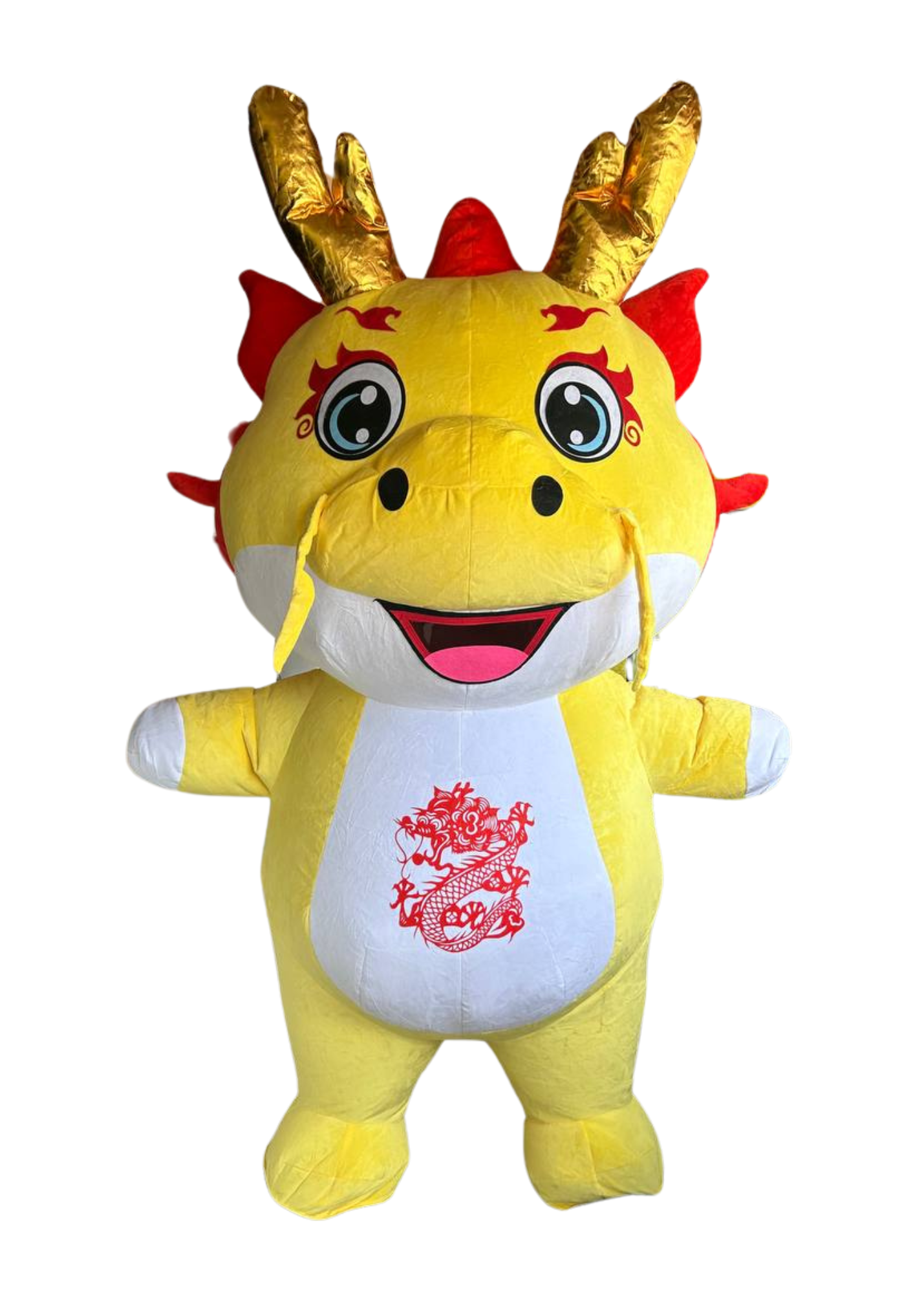 Dragon Mascot (Inflatable) D03 – ccmcostume