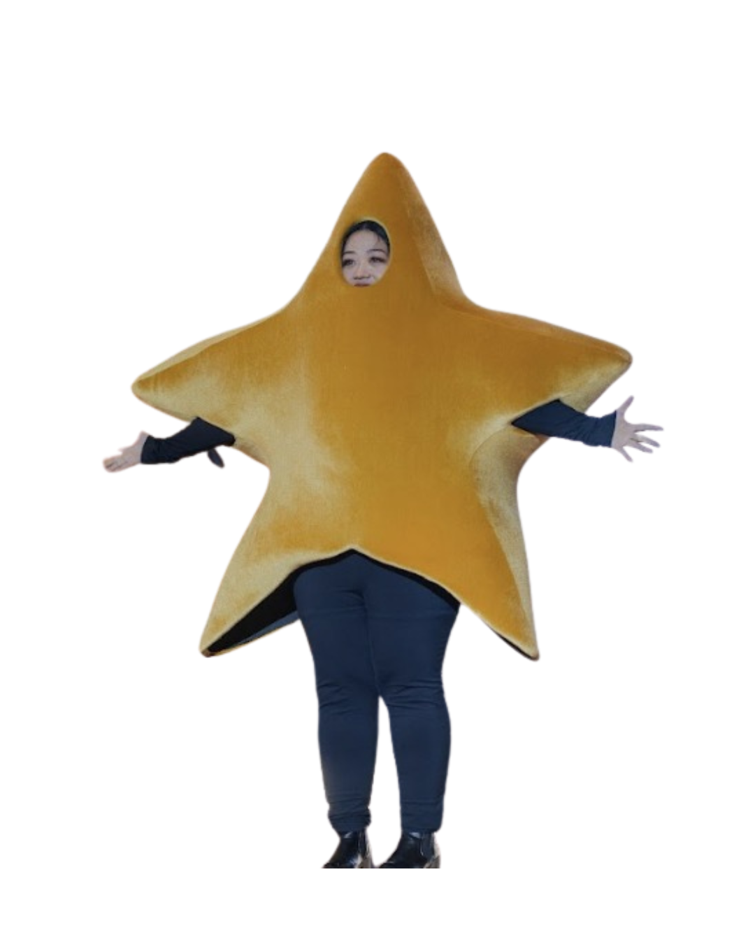 Star Mascot