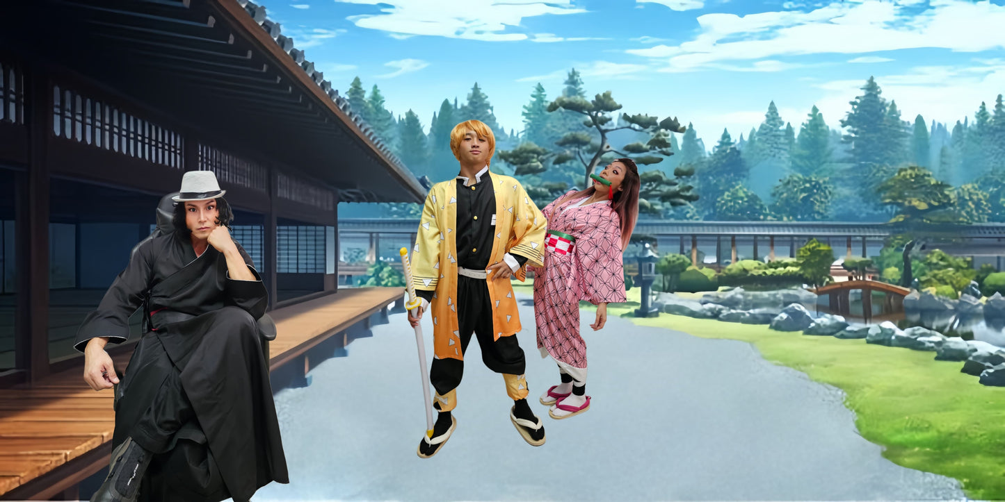 Anime DS16