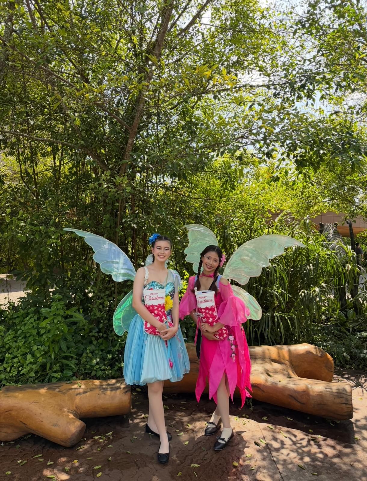 Fairy D09