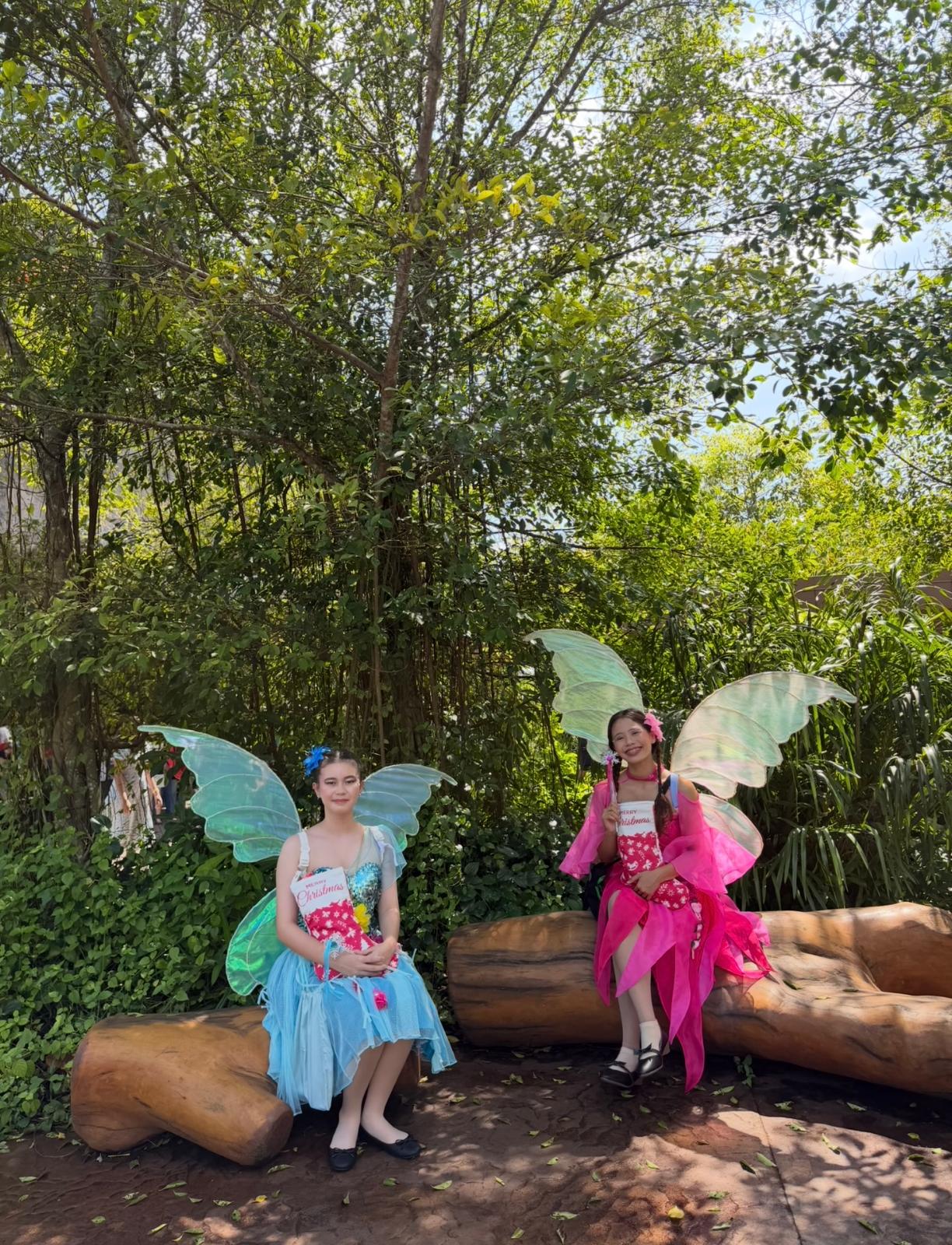 Fairy D09