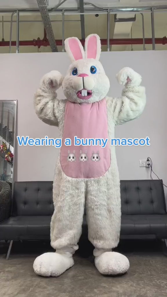 Bunny Mascot (Rabbit) D03