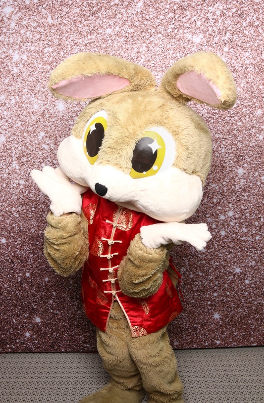 Bunny Mascot (Rabbit) D02