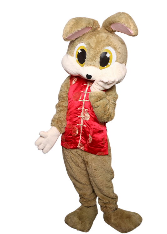 Bunny Mascot (Rabbit) D02