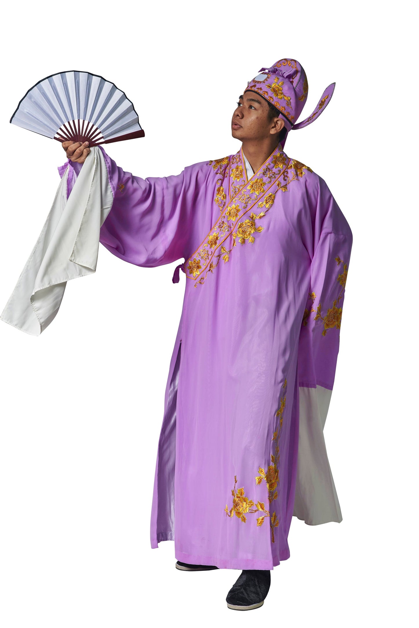Chinese Scholar D05