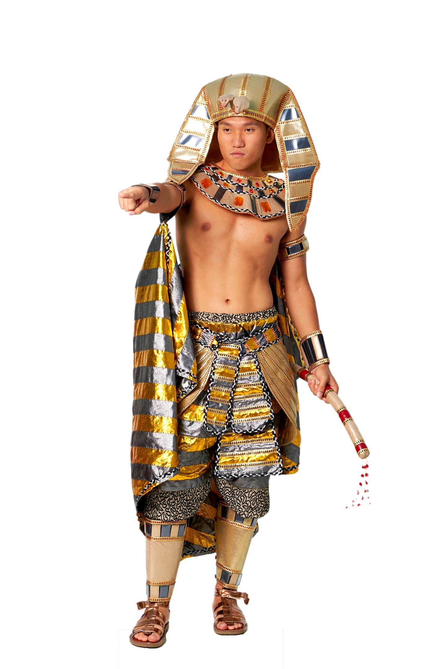 Egyptian Pharaoh D01