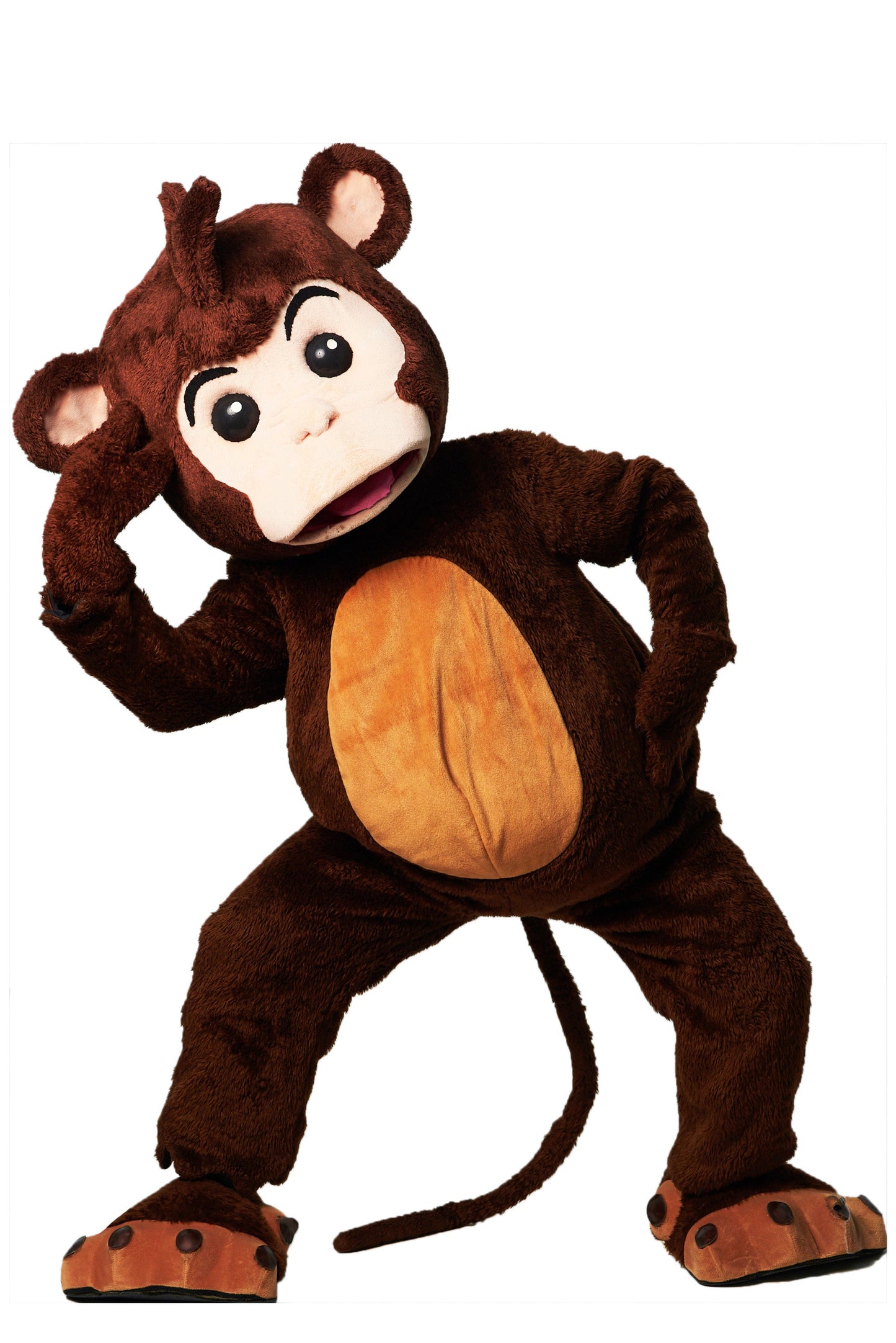 Monkey D01