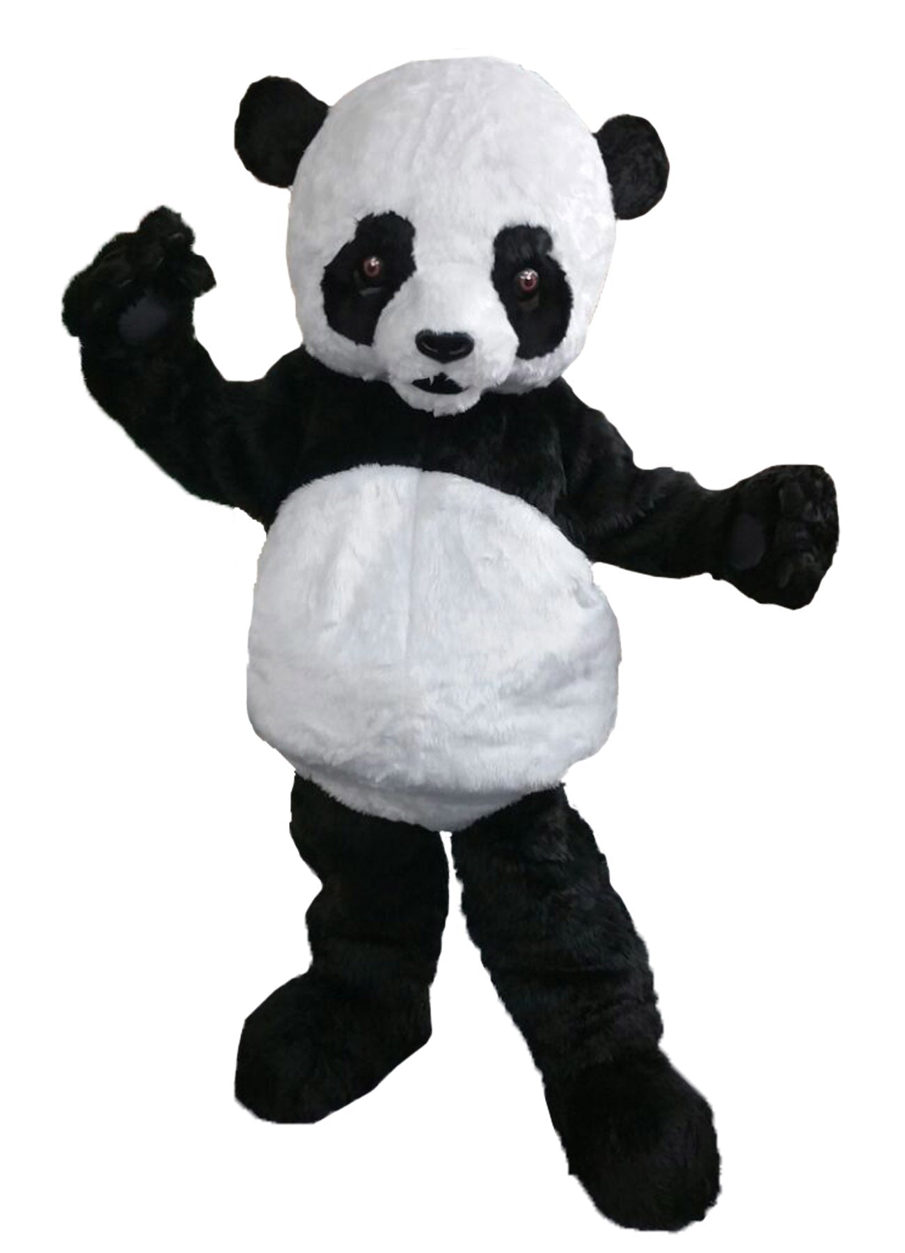 Panda D01