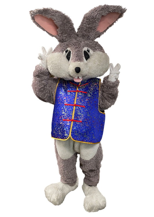 Bunny Mascot (Rabbit) D01