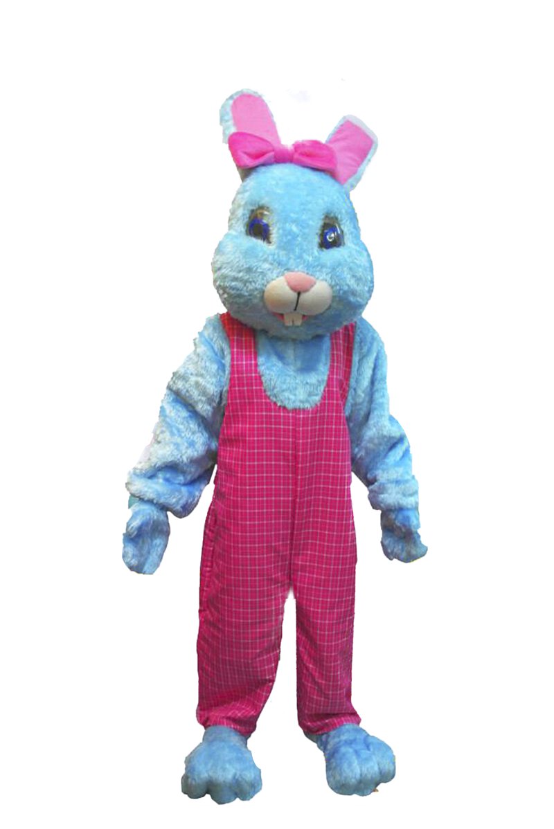 Bunny Mascot (Rabbit) D04