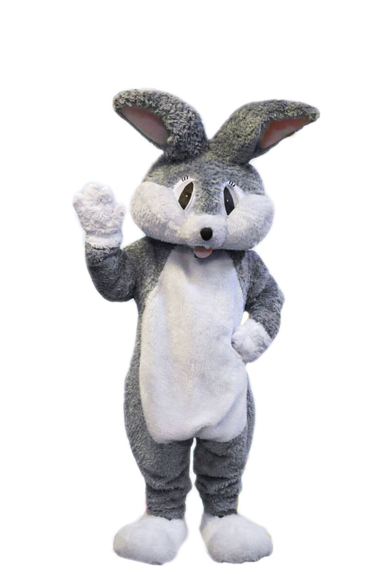 Bunny Mascot (Rabbit) D01