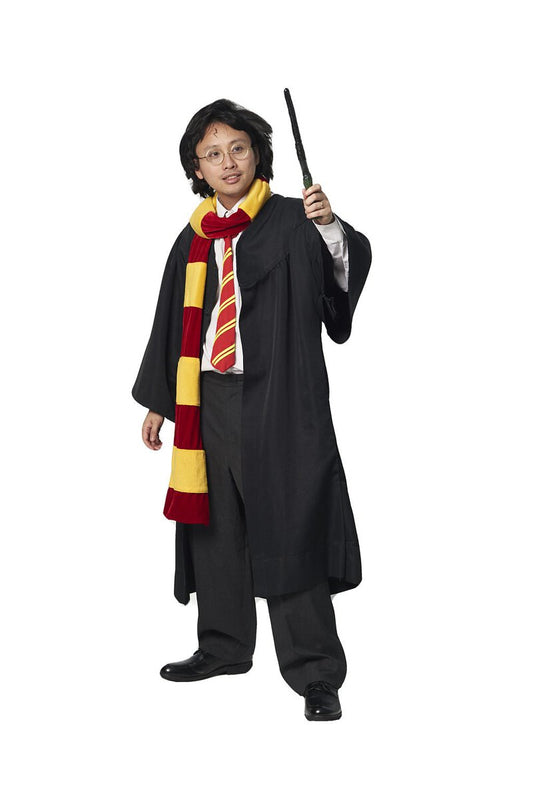 Harry Potter HP07
